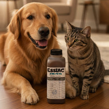 Essiac tea for Pets - 16oz premade tea (unconcentrated)