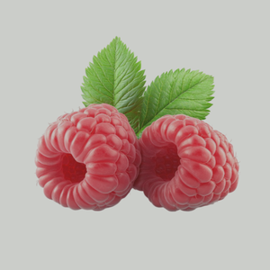 Raspberry Leaf Tea Bags Organic