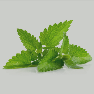 Sniffle Tea Bags Organic