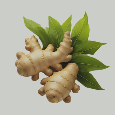 Lemongrass & Ginger Immuni-Tea Bags Organic