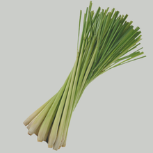 Immuni-Tea Lemongrass & Ginger Bags Organic