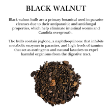 Parasitic Cleanse Tea Bags Organic (Limited time only)